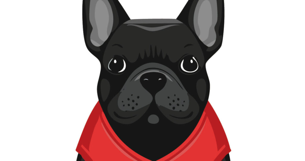 French Bull